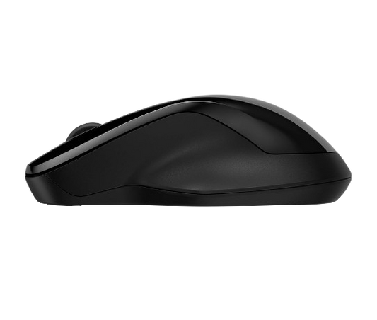 HP 250 Dual wireless Bluetooth Mouse