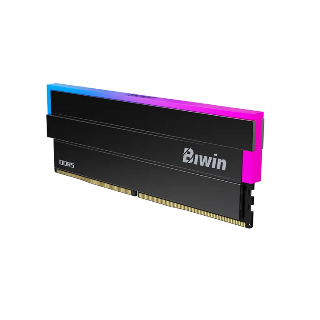 Biwin Black Opal DW100 48GB (24GBx2)DDR5 RAM RGB 6000MHz CL28 Gaming Desktop Memory- Black-tpstech.in