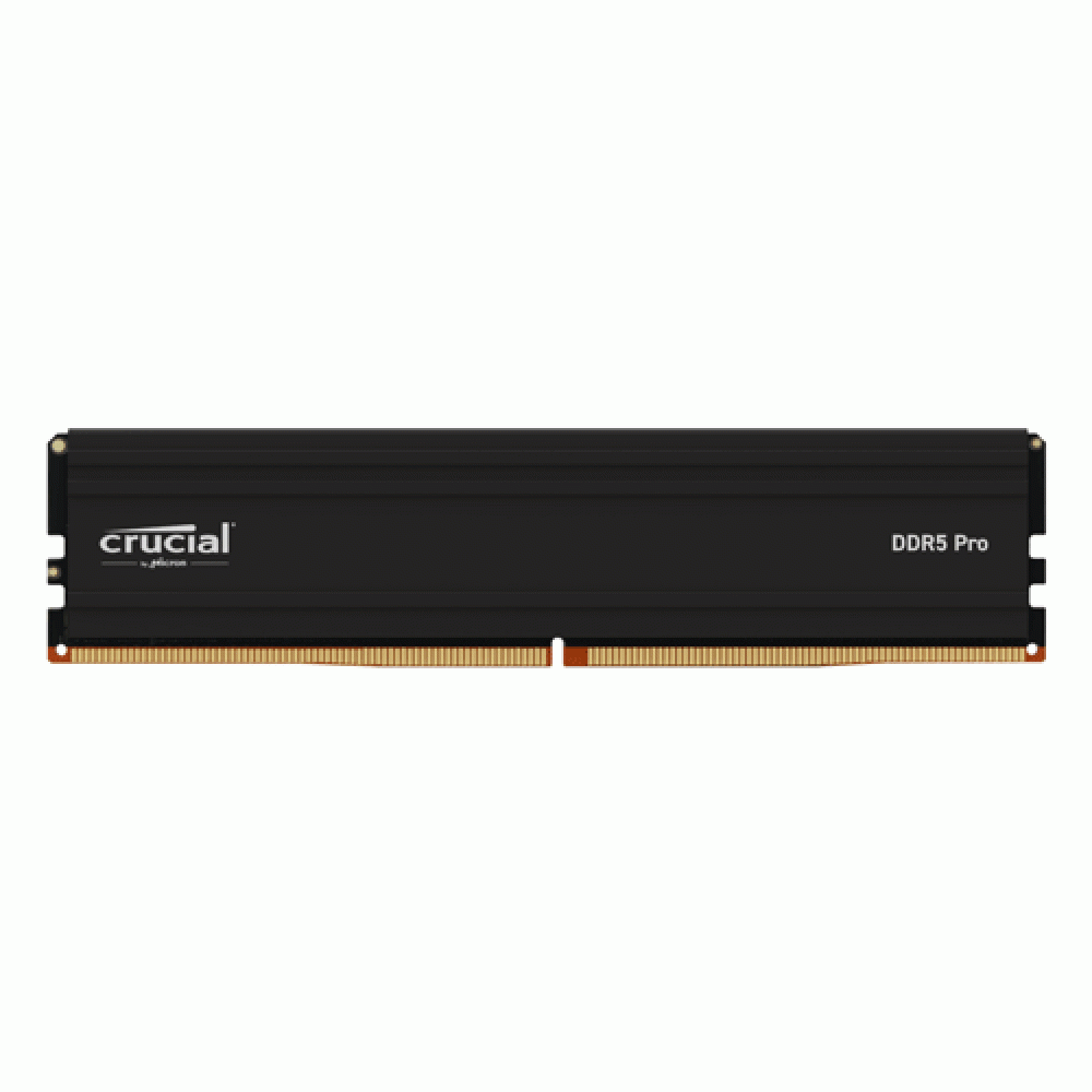 Crucial Pro 16GB DDR5 5600MHz CL46 Desktop Memory - tpstech.in