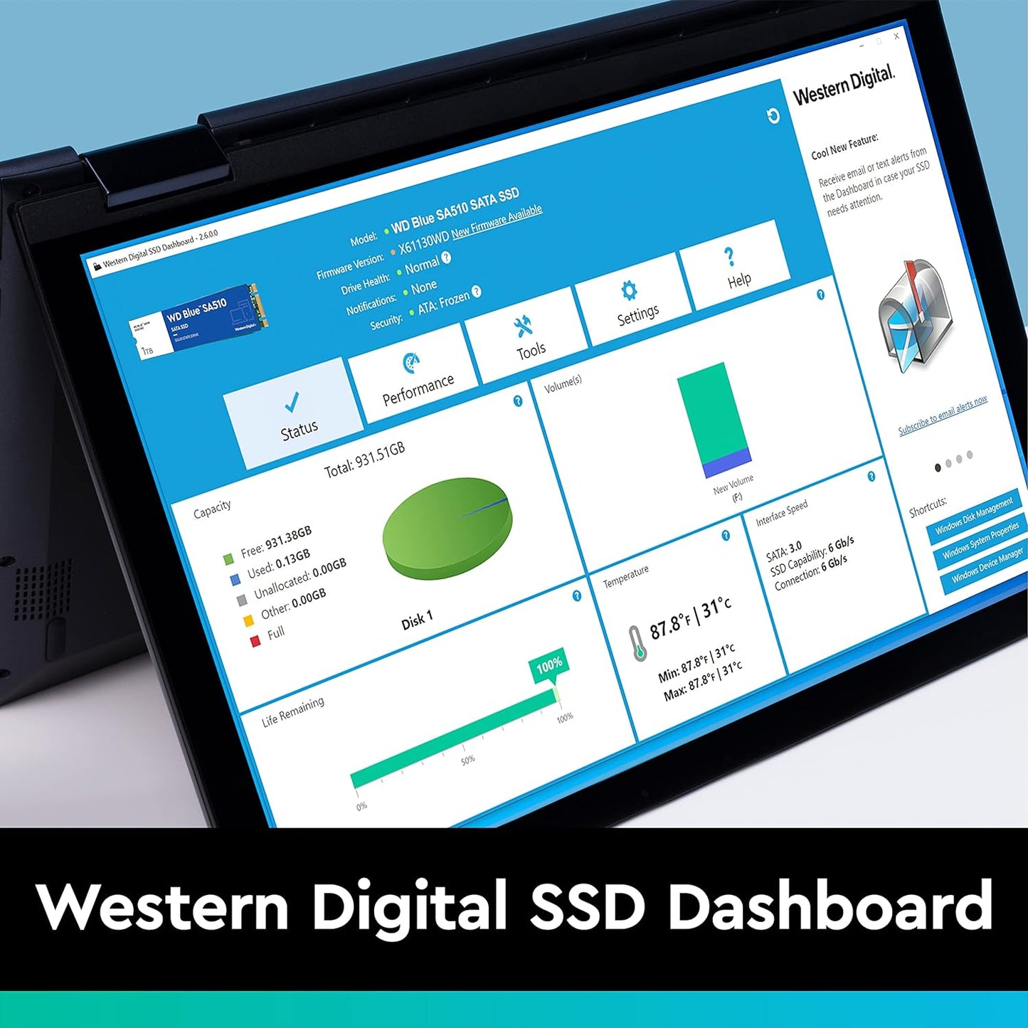 Western Digital Blue 500GB M.2 SATA III Internal Solid State Drive