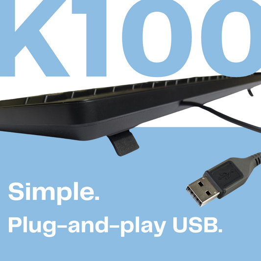 HP K100 Wired Wired USB Desktop Keyboard (Black)