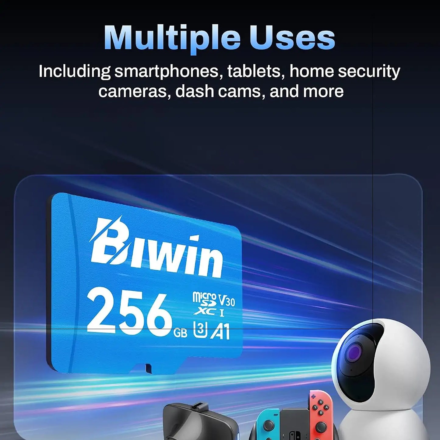 Biwin MS100 256GB MicroSD Card A1 Performance UHS-I C10 U1 V10 Compatibility for Security Cameras Dash Cams and Gaming Devices -tpstech.in