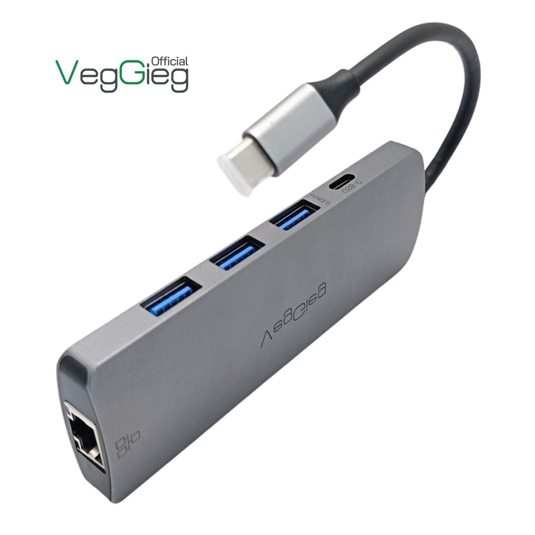 VegGieg V-TC10R Type-C to 10-in-1 Hub