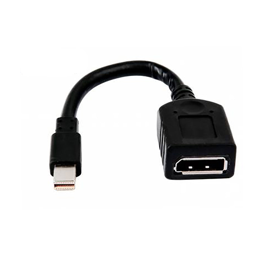 HP 2MY05AA Mini Display Port to Display Port Adapter