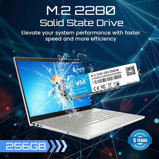 EVM 256GB M.2 SATA 3D NAND Internal SSD
