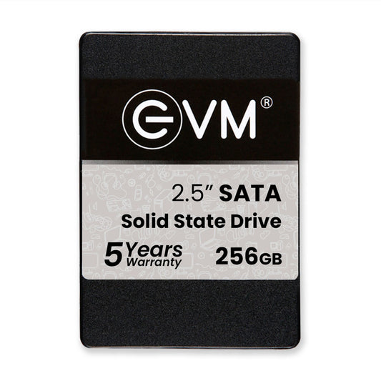 EVM 256GB 2.5-inch SATA 3D NAND Internal SSD