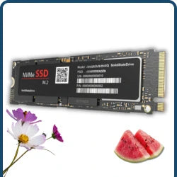 M.2 NVMe SSDs
