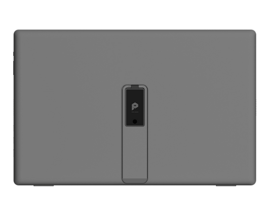 MSI PRO MP161 E2 15.6" Full-HD IPS 60Hz Portable Ultra-Slim with speaker Monitor