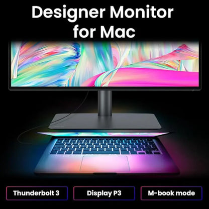 BenQ PD3225U 32" 4K UHD IPS Black Professional Monitor with Thunderbolt 3-tpstech.in