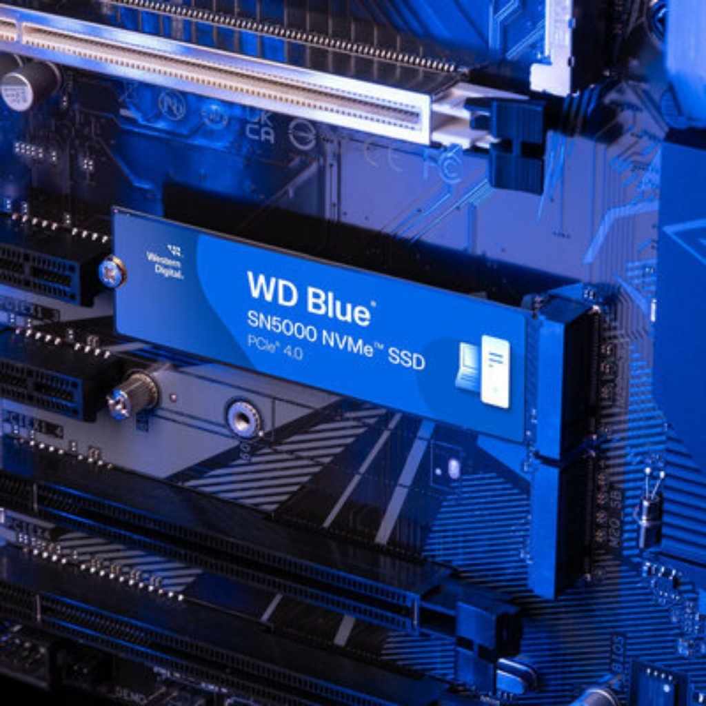 WD Blue SN5000 1TB NVMe SSD PCIe Gen4 5150MB/s Read High Endurance