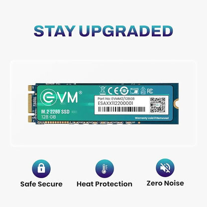 EVM 128GB M.2 SATA 3D TLC NAND Internal Solid State Drive-tpstech.in