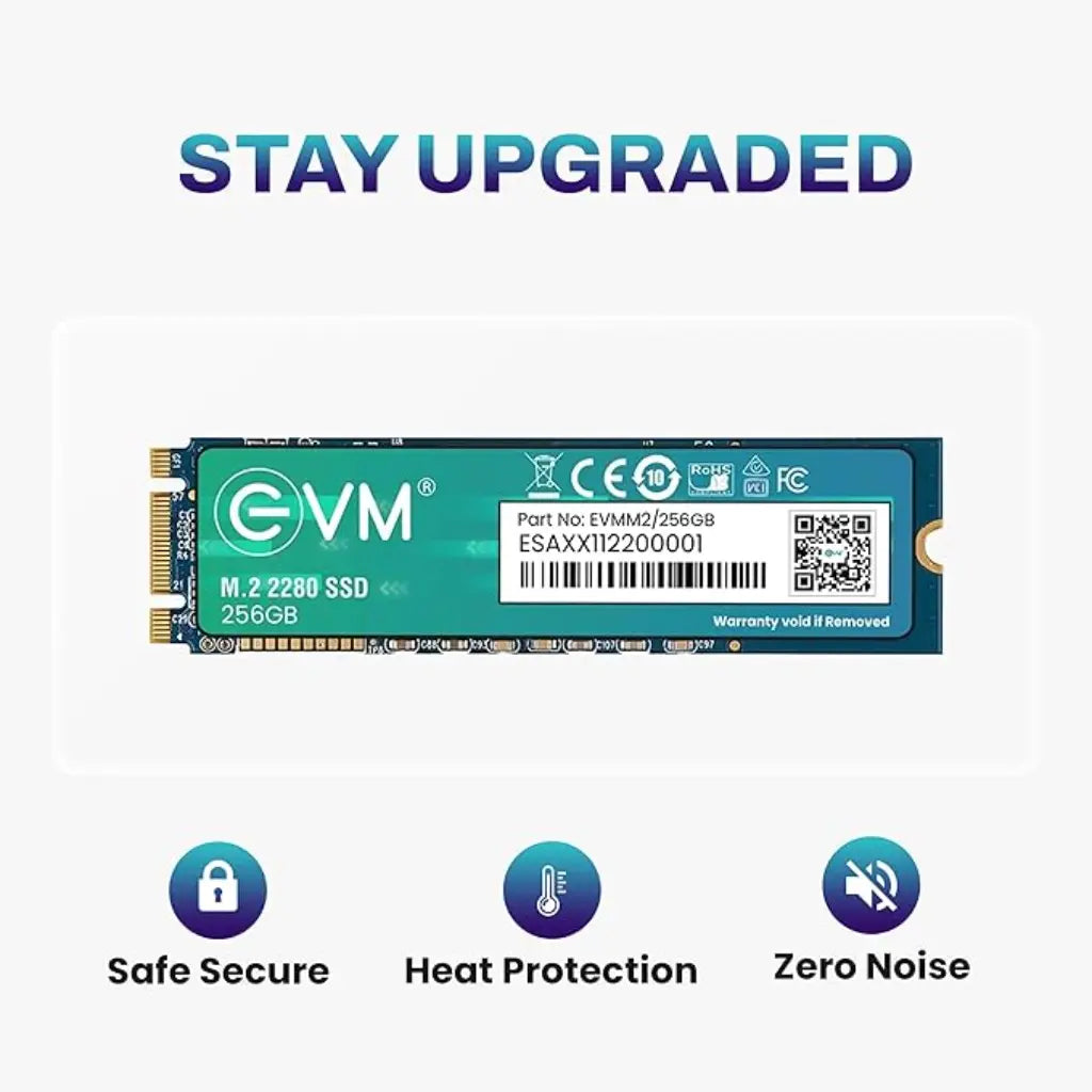 EVM 256GB 3D TLC NAND M.2 2280 SATA III Internal Solid State Drive-tpstech.in