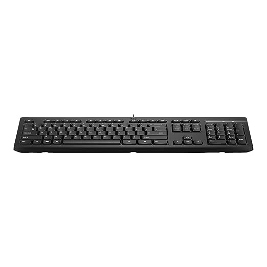 HP 125 Wired USB Desktop Keyboard