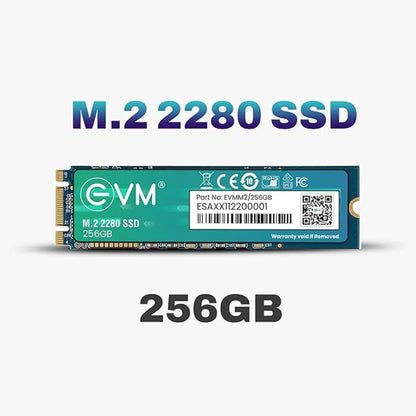 EVM 256GB 3D TLC NAND M.2 2280 SATA III Internal Solid State Drive-tpstech.in
