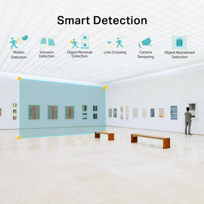 TP-Link VIGI C220I V1 2MP IR Dome Network Camera with AI Detection  IK10 Vandal-Proof & IP67-tpstech.in