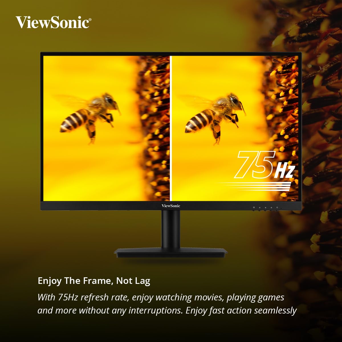 ViewSonic 24 Inch Full HD 100Hz Monitor with Dual 2W Speaker