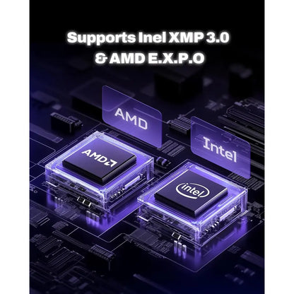 Acer Predator Pallas II 32GB (16GBx2) DDR5 6000MHz CL36 288-Pin Gaming Desktop Memory-tpstech.in