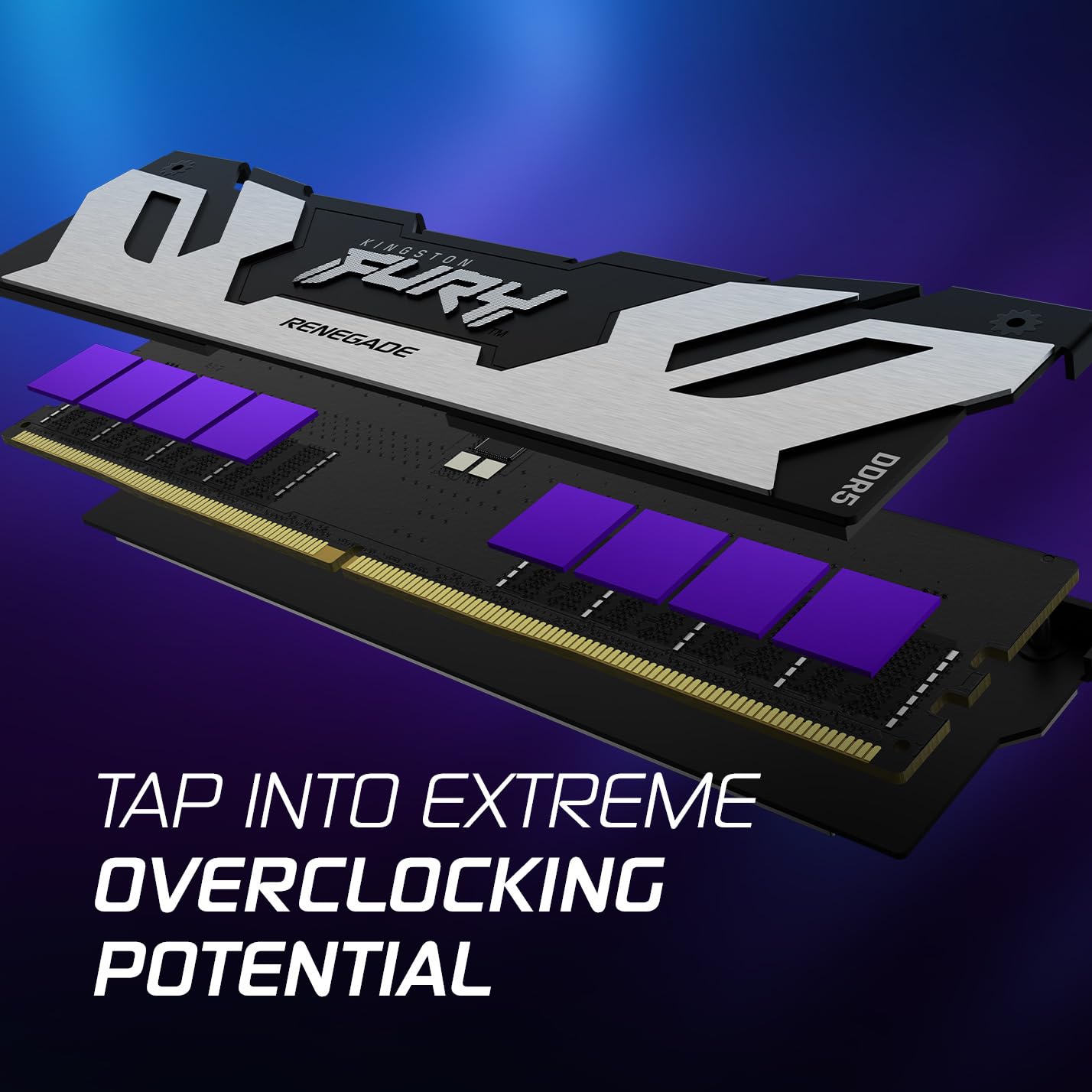 Kingston Fury Renegade 32GB DDR5 6400MHz CL32 DIMM Desktop Gaming Memory - Silver