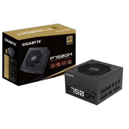 GIGABYTE P750GM 750W Full Modular 80 Plus Gold Power Supply