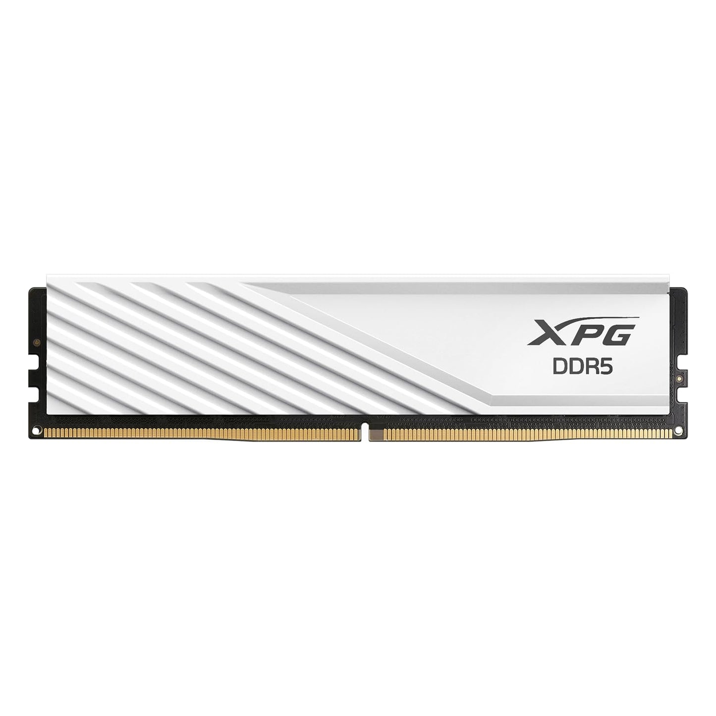 AX5U5600C4632G-SLABWH