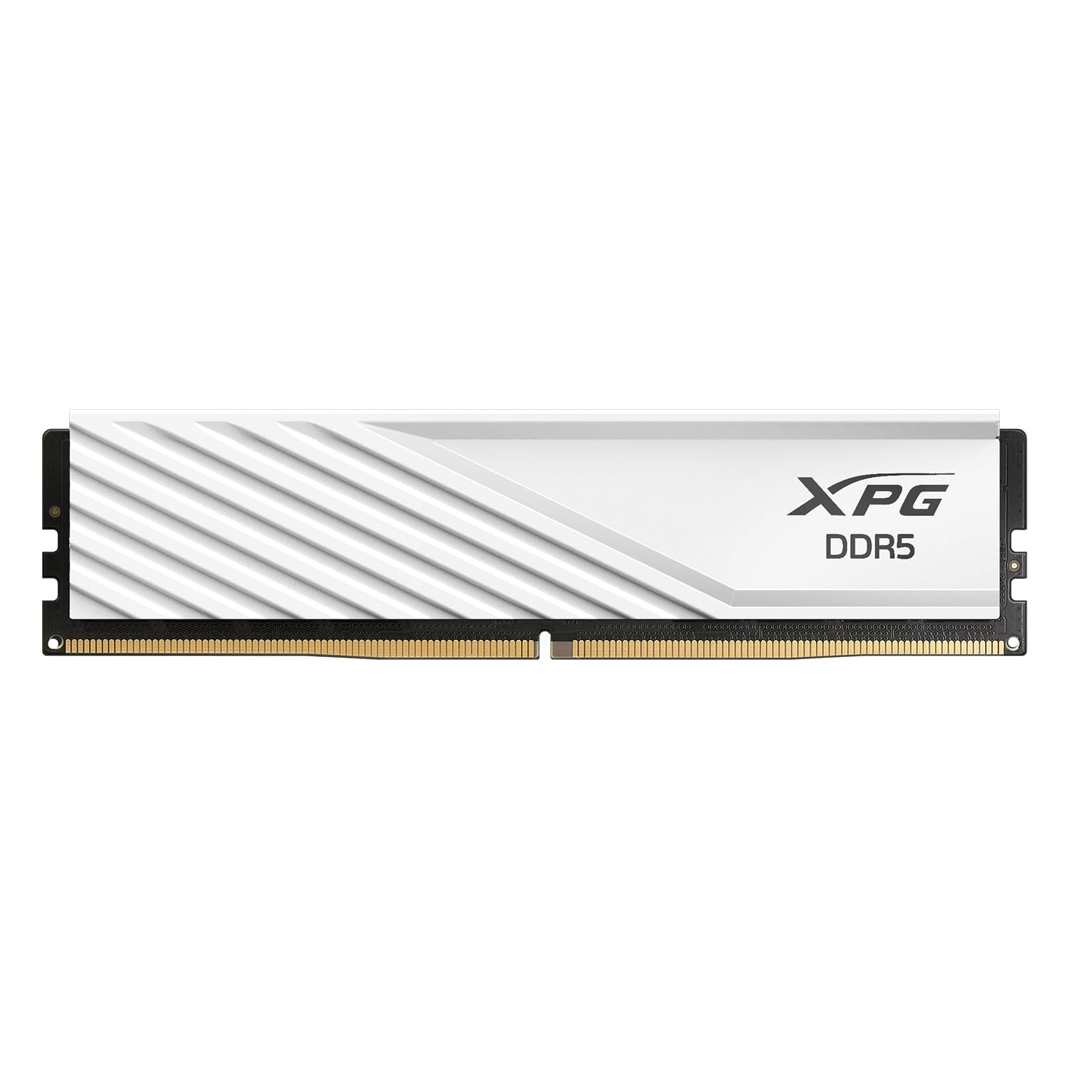 AX5U5600C4632G-SLABWH