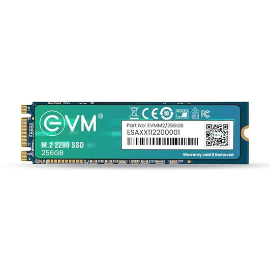 EVM 256GB 3D TLC NAND M.2 2280 SATA III Internal Solid State Drive-tpstech.in