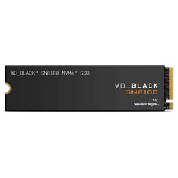 WDS100T1X0M-00CMT0