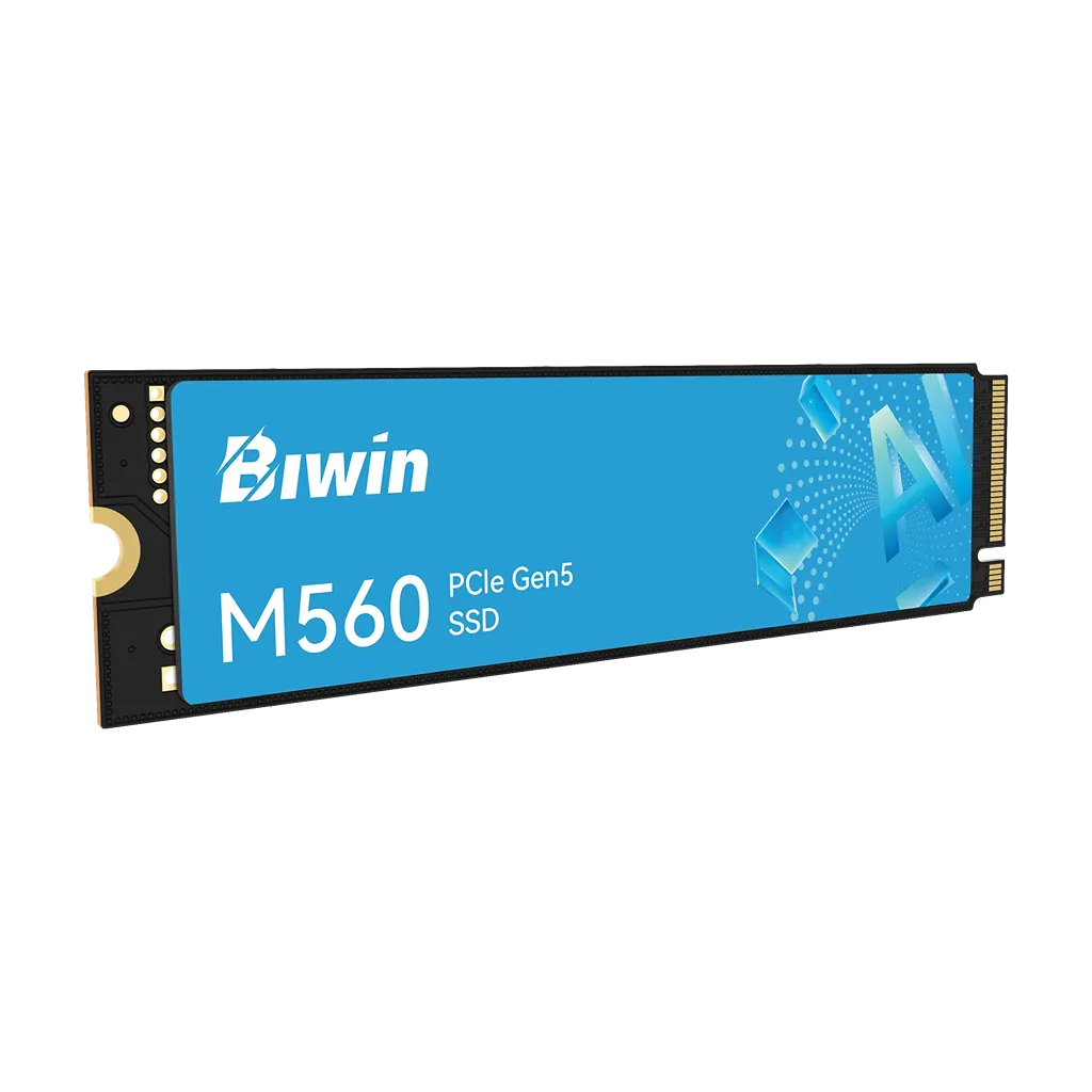 Biwin M560 2TB PCIe 5.0 NVMe SSD high speed M.2 2280 storage product front view -tpstech.in