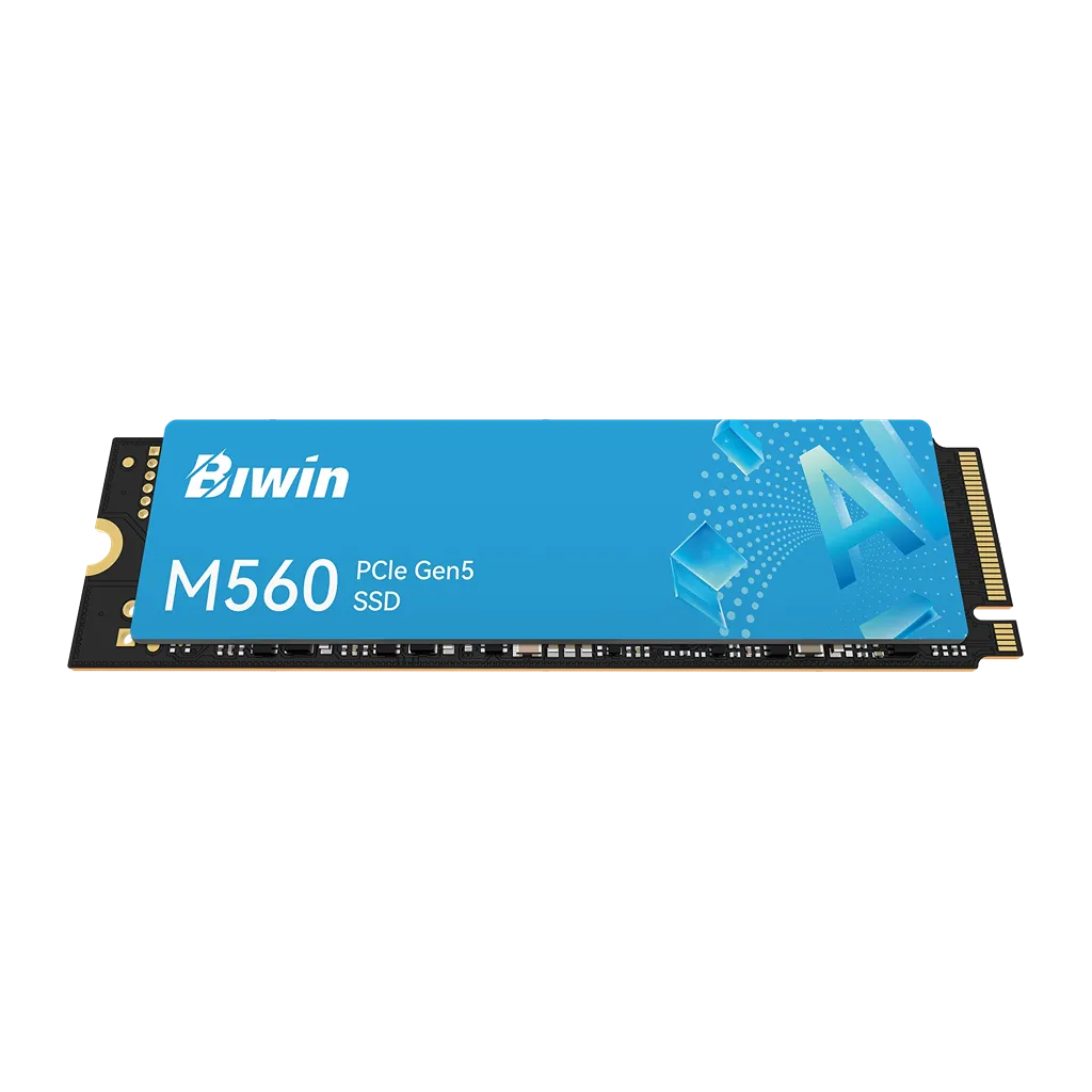 Biwin M560 1TB PCIe 5.0 NVMe SSD front view with M.2 2280 design -tpstech.in
