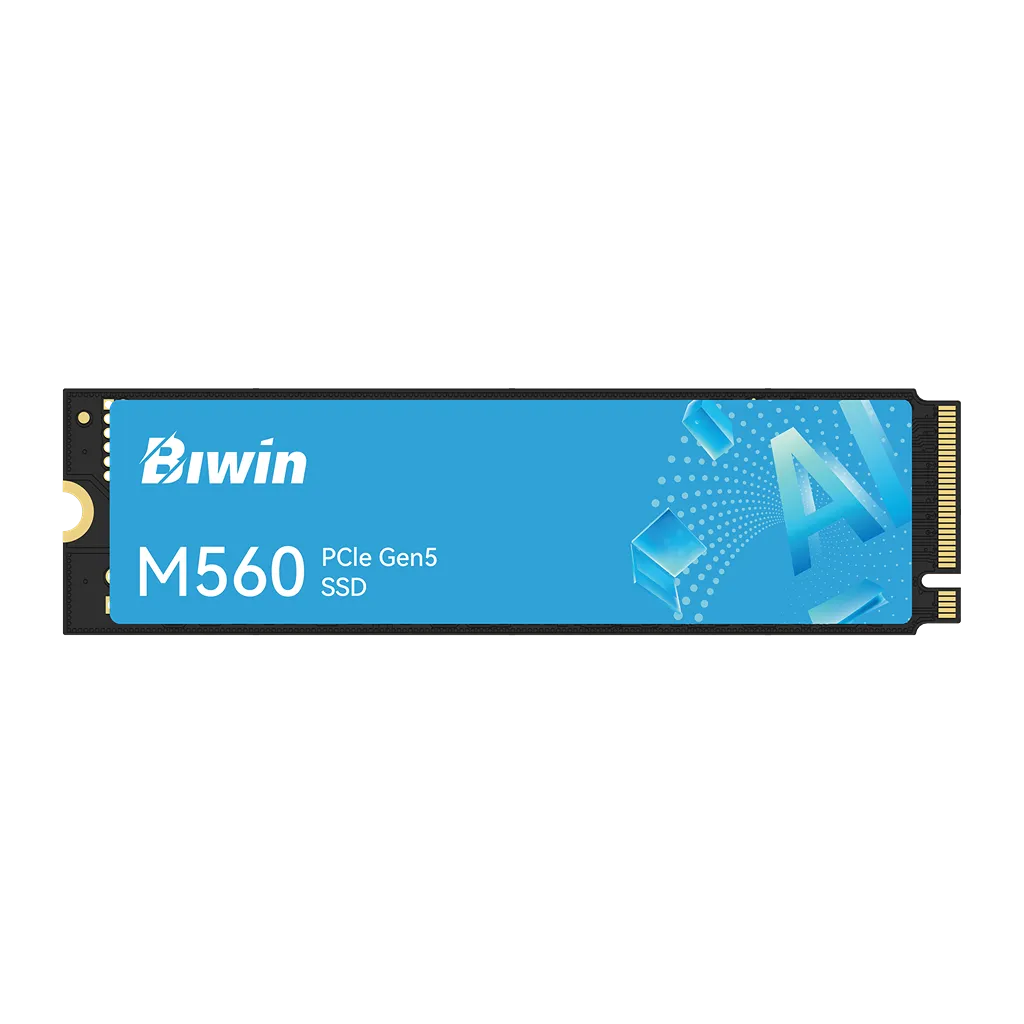 Biwin M560 1TB PCIe 5.0 SSD top view with M.2 NVMe connector -tpstech.in