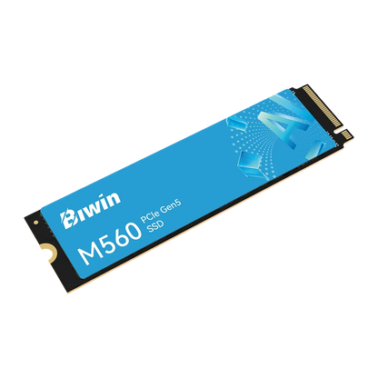 Biwin M560 1TB PCIe Gen5 NVMe SSD angled product view -tpstech.in