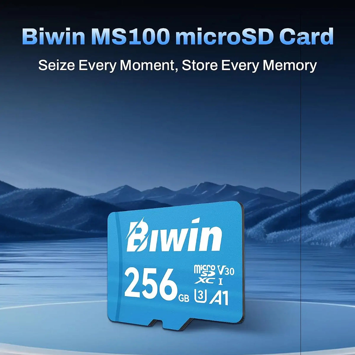 Biwin MS100 256GB MicroSD Card A1 Performance UHS-I C10 U1 V10 Front View -tpstech.in