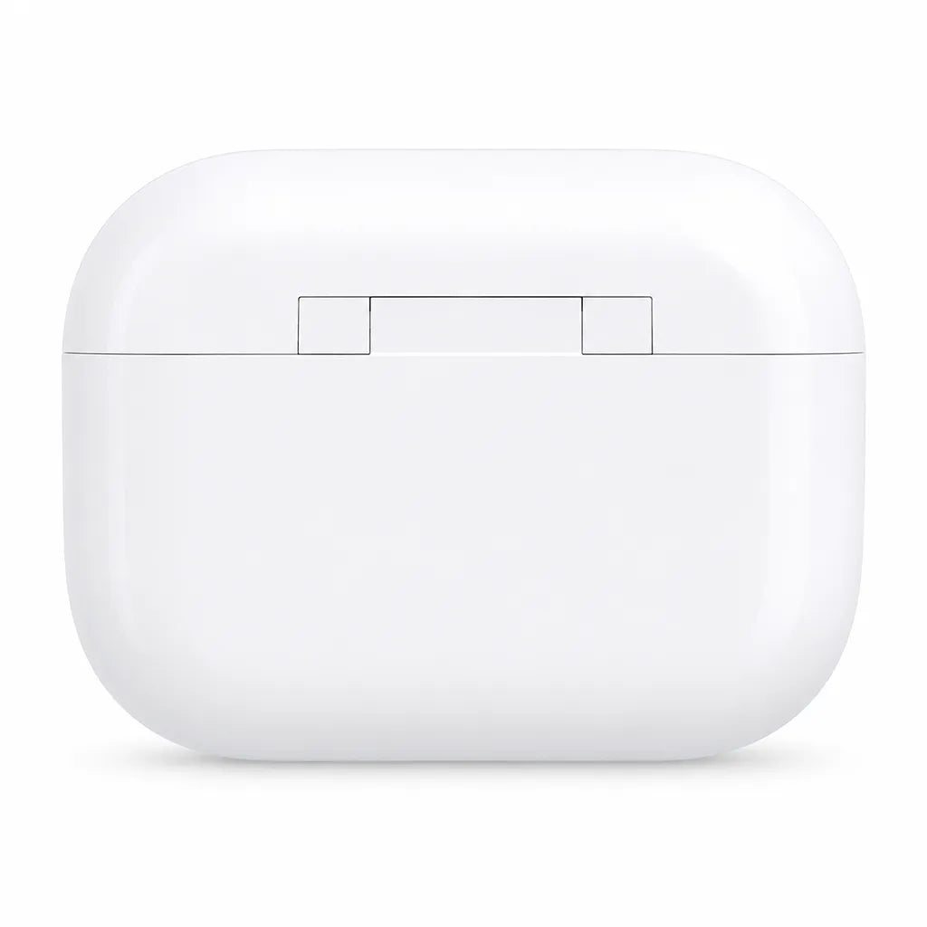 Back view of Biwin UD400 1TB USB flash drive magnetic storage case -tpstech.in