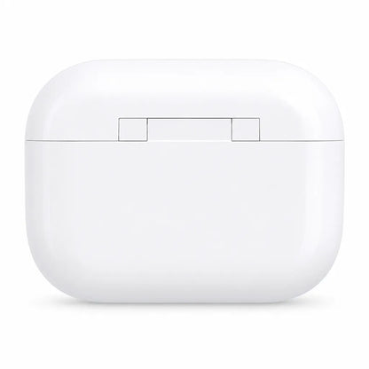 Back view of Biwin UD400 1TB USB flash drive magnetic storage case -tpstech.in