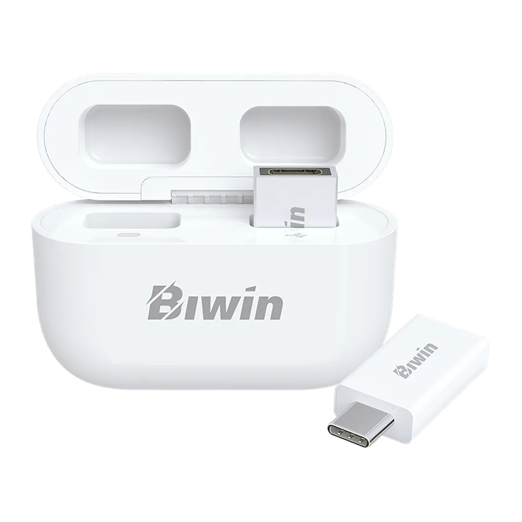 Biwin UD400 256GB USB-C flash drive with magnetic storage case and USB connector -tpstech.in