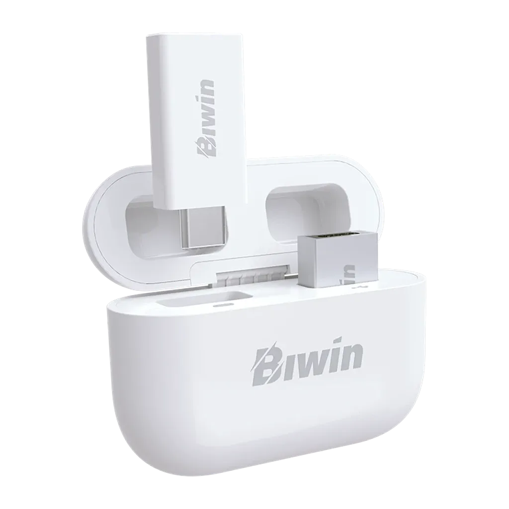 Biwin UD400 256GB USB flash drive with USB-C and USB-A connector compatibility -tpstech.in