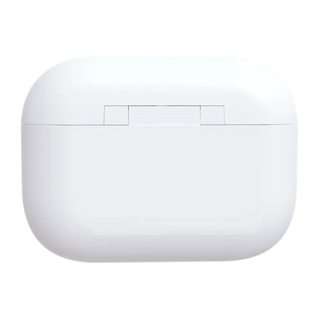 Back view of Biwin UD400 256GB USB flash drive magnetic storage case -tpstech.in