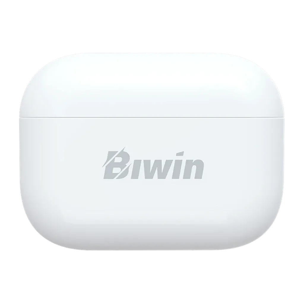 Front view of Biwin UD400 256GB USB flash drive magnetic storage case -tpstech.in