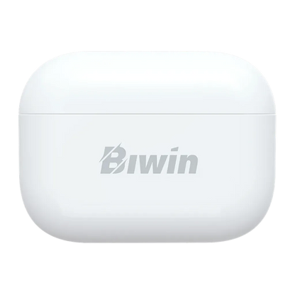Front view of Biwin UD400 256GB USB flash drive magnetic storage case -tpstech.in