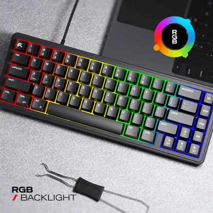 Vibrant multi-color RGB backlighting illuminated across keys of Cybeart Akula 65 Lite Compact 65% Wired RGB Mechanical Keyboard -tpstech.in