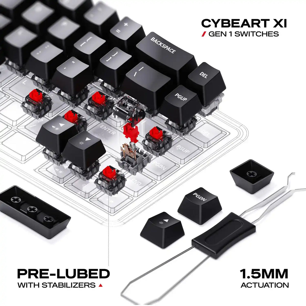 Exploded view of pre-lubed stabilizers and Cybeart X1 Gen 1 linear switches with 1.5mm actuation on Cybeart Akula 65 Lite Keyboard -tpstech.in