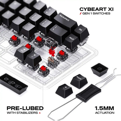 Exploded view of pre-lubed stabilizers and Cybeart X1 Gen 1 linear switches with 1.5mm actuation on Cybeart Akula 65 Lite Keyboard -tpstech.in