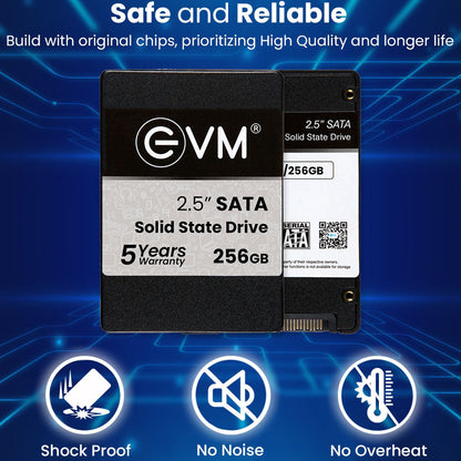 EVM 256GB 2.5-इंच SATA 3D NAND आंतरिक SSD