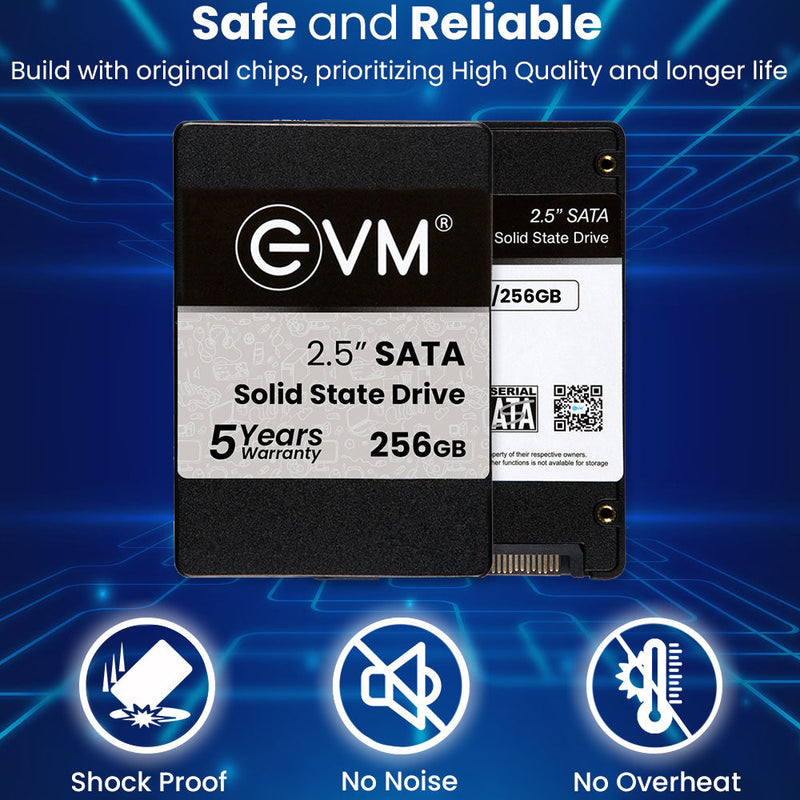 [RePacked] EVM 256GB 2.5-inch SATA 3D NAND Internal SSD
