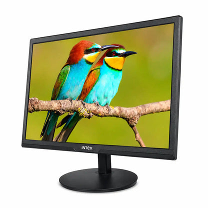 Intex IT-2401 21.5 inch HD LED VA panel monitor right angle view with realistic colour display-tpstech.in