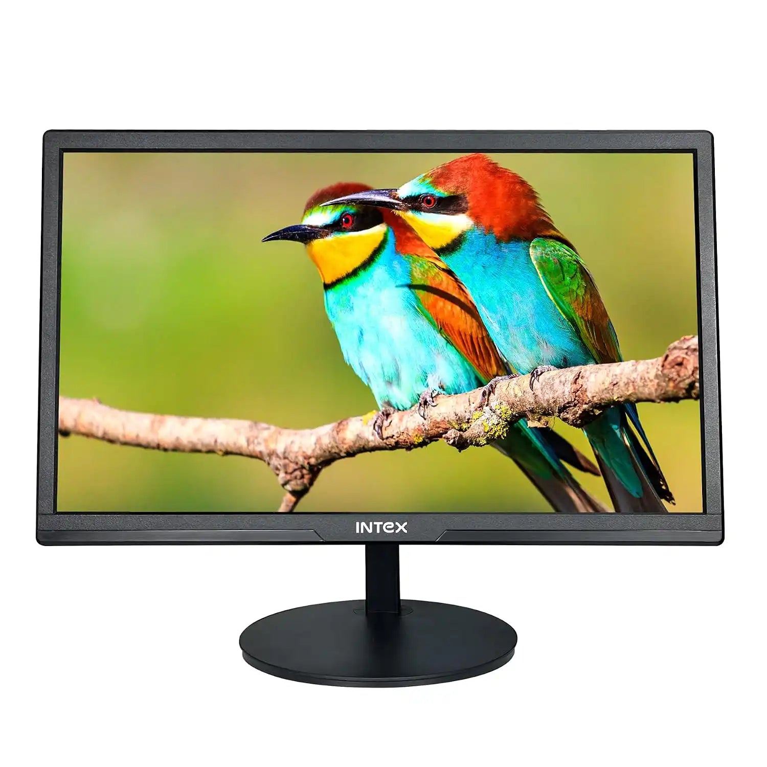 Intex IT-2401 21.5 inch HD LED monitor front view with realistic colour display-tpstech.in