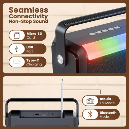 Lapcare Aster 20W Bluetooth speaker connectivity ports including Type-C, USB, Micro SD, and FM antenna -tpstech.in