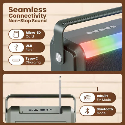 Lapcare Aster LBS-201 20W Bluetooth speaker showing Micro SD, USB, Type-C charging ports, and FM antenna -tpstech.in