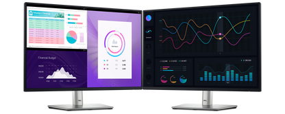 Dell Pro 24 Plus P2425 24" 100Hz 1080p+ WUXGA Flat Antiglare IPS Panel Computer Monitor