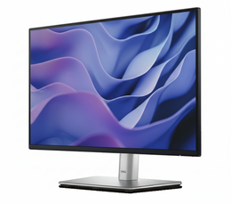 Dell Pro 22 Plus Monitor P2225H FHD 100Hz 5ms IPS Eye comfort Professional Monitor